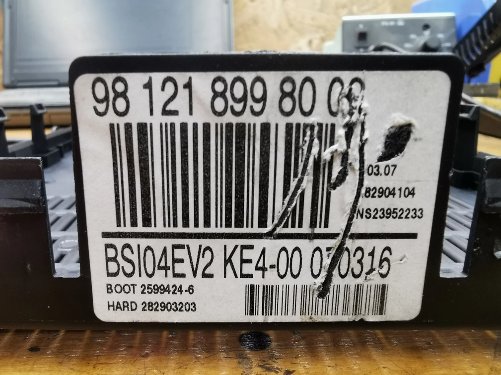 981218998000 BSI Johnson Controls 95128 EEP.rar
